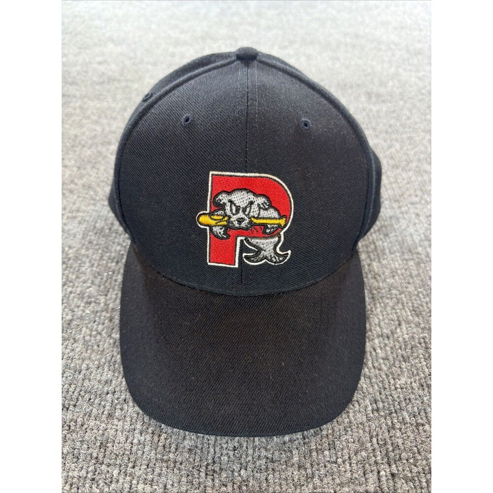 Vintage Portland Sea Dogs Adjustable Hat Twins Enterprise MILB 90s Blue New